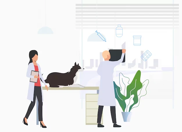 Digital Marketing for Veterinarians: How to Attract More Pet Parents Online